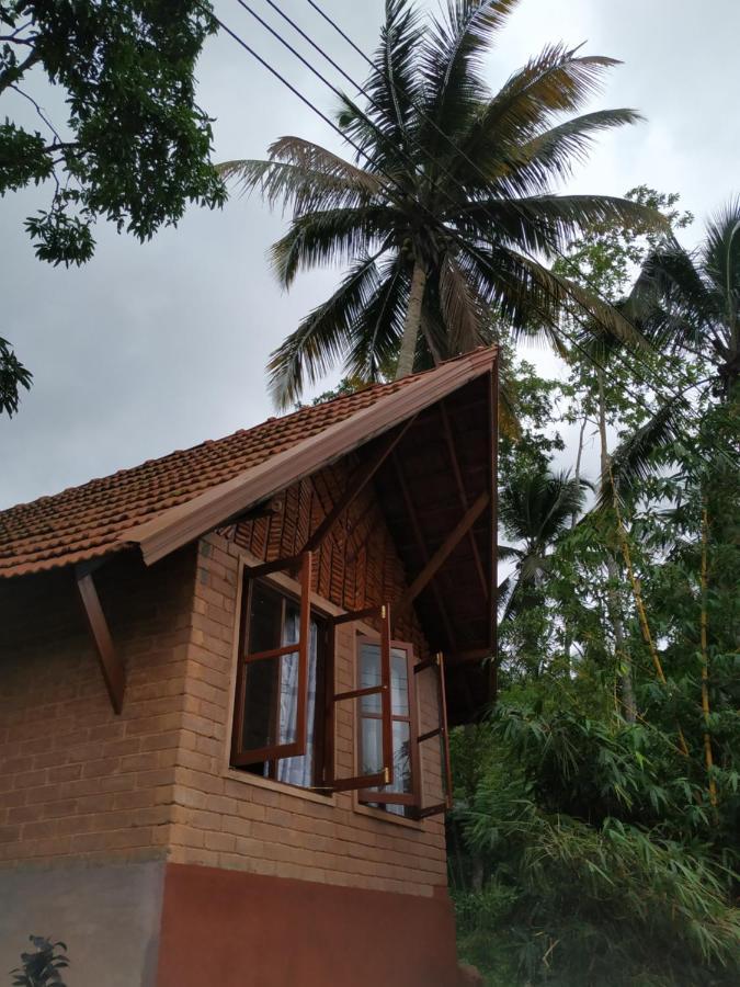 Cinnamon Village Sinharaja Deniyaya Exteriör bild