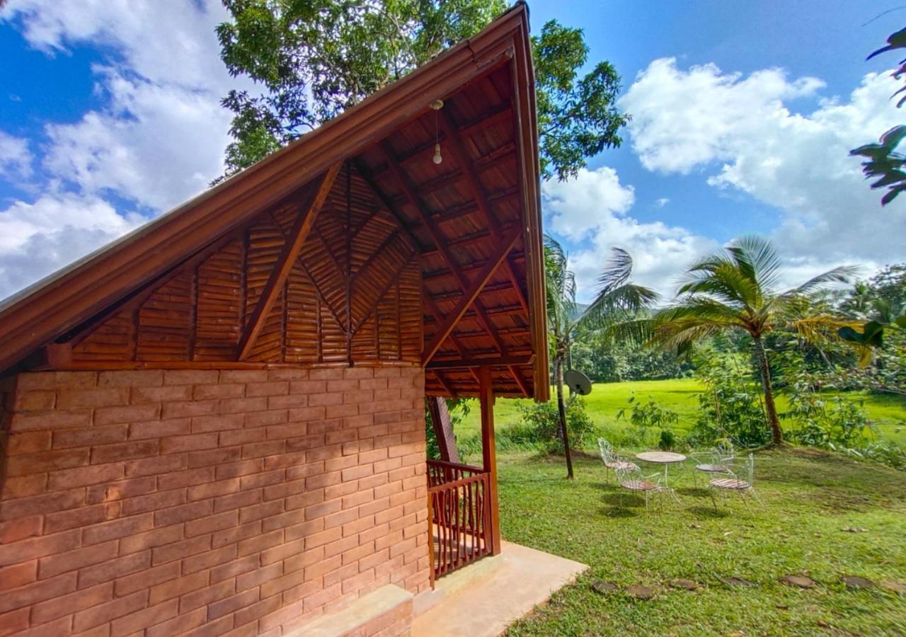 Cinnamon Village Sinharaja Deniyaya Exteriör bild