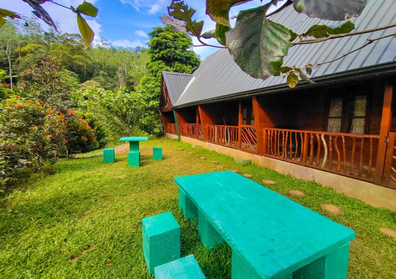 Cinnamon Village Sinharaja Deniyaya Exteriör bild