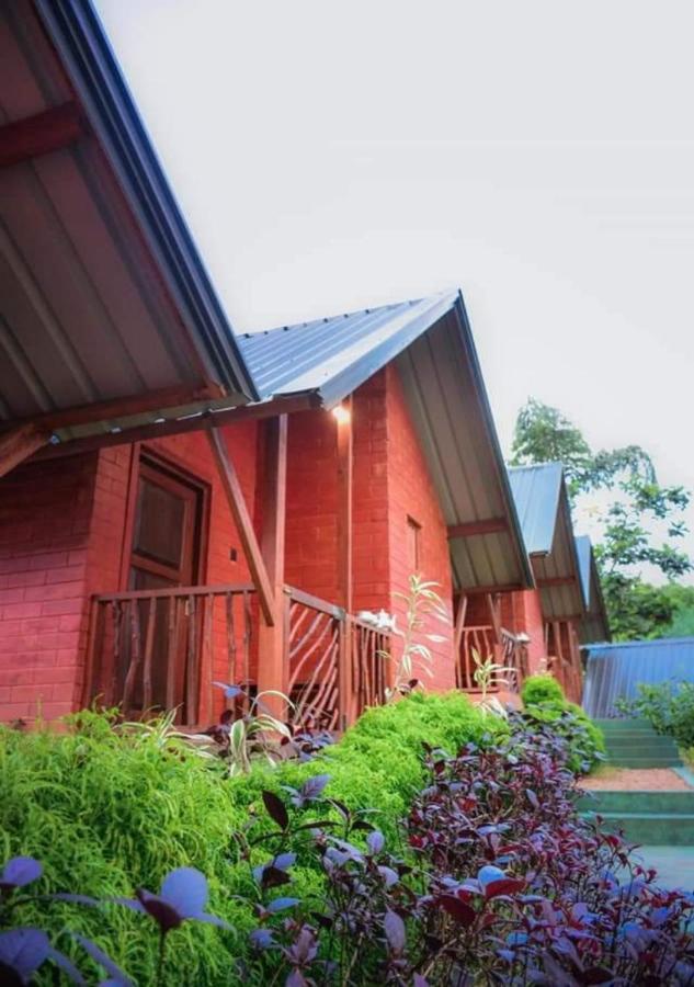 Cinnamon Village Sinharaja Deniyaya Exteriör bild