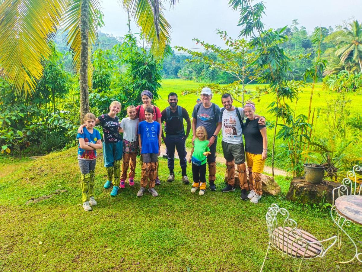 Cinnamon Village Sinharaja Deniyaya Exteriör bild