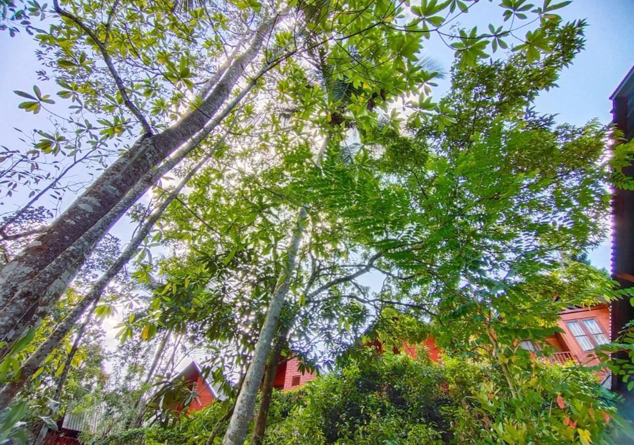 Cinnamon Village Sinharaja Deniyaya Exteriör bild