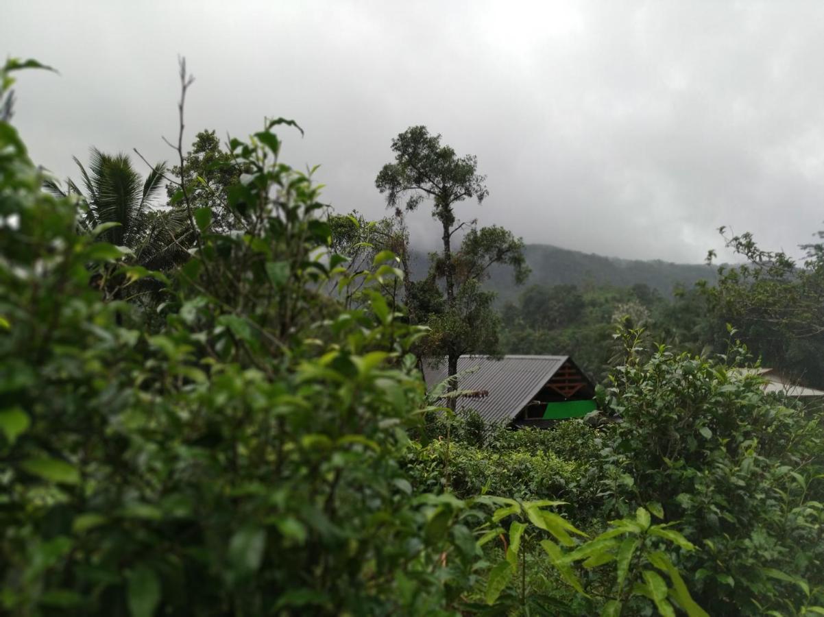 Cinnamon Village Sinharaja Deniyaya Exteriör bild